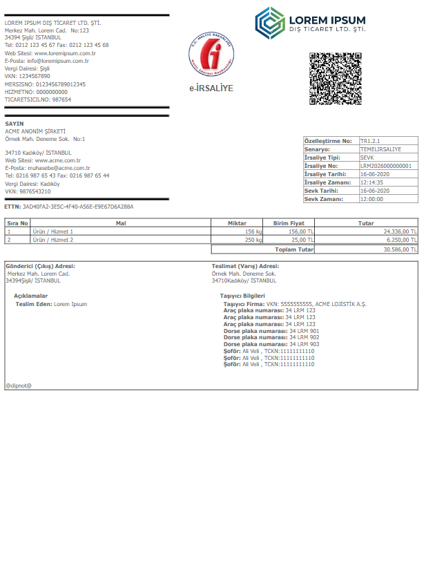 I01 · e-Despatch Standard